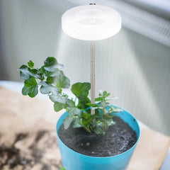 LED Adjustable Plant Grow Light with Base