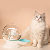 Pet Auto Water Feeder