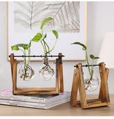 Glass Propagation Station Vase