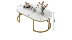 Rona Designer Golden Coffee Table