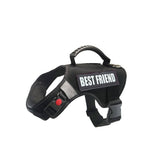 Pet Dog Safety Running Belt Harness