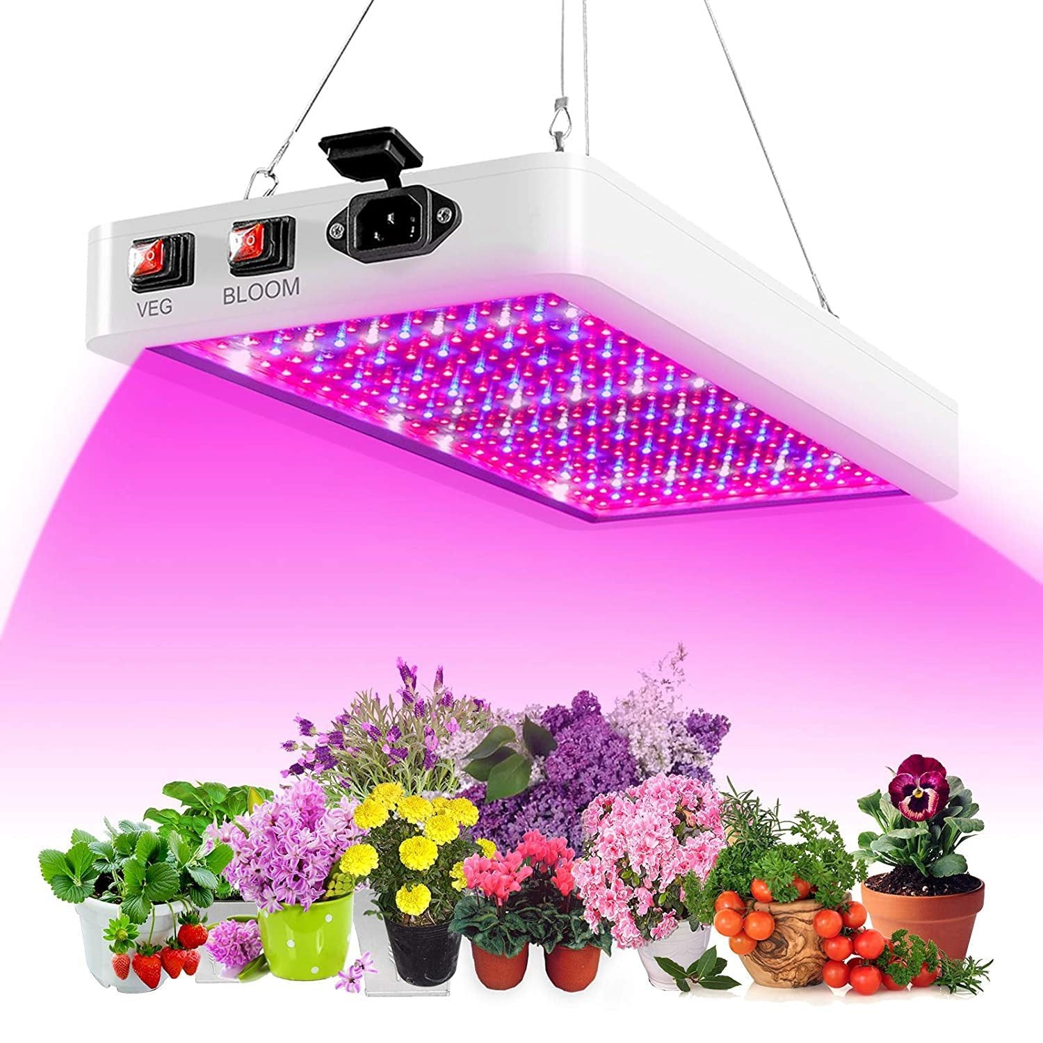 2000W Full Spectrum LED Grow Light for Plants