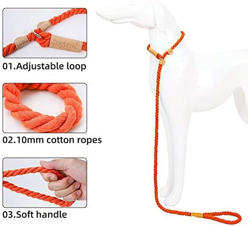 Anti-Pull Dog Leash