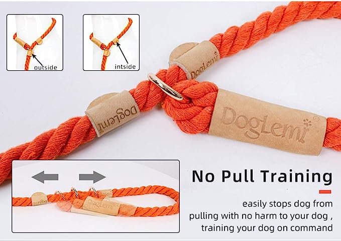 Anti-Pull Dog Leash