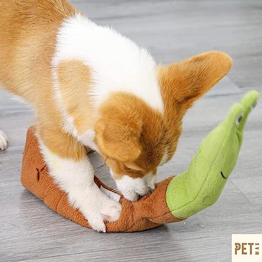 Snail Dog Puzzle Toys