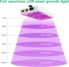 2000W Full Spectrum LED Grow Light for Plants