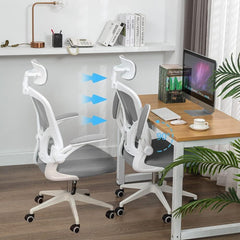 Lumbar Support Office Chair