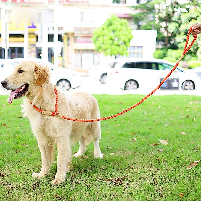 Anti-Pull Dog Leash