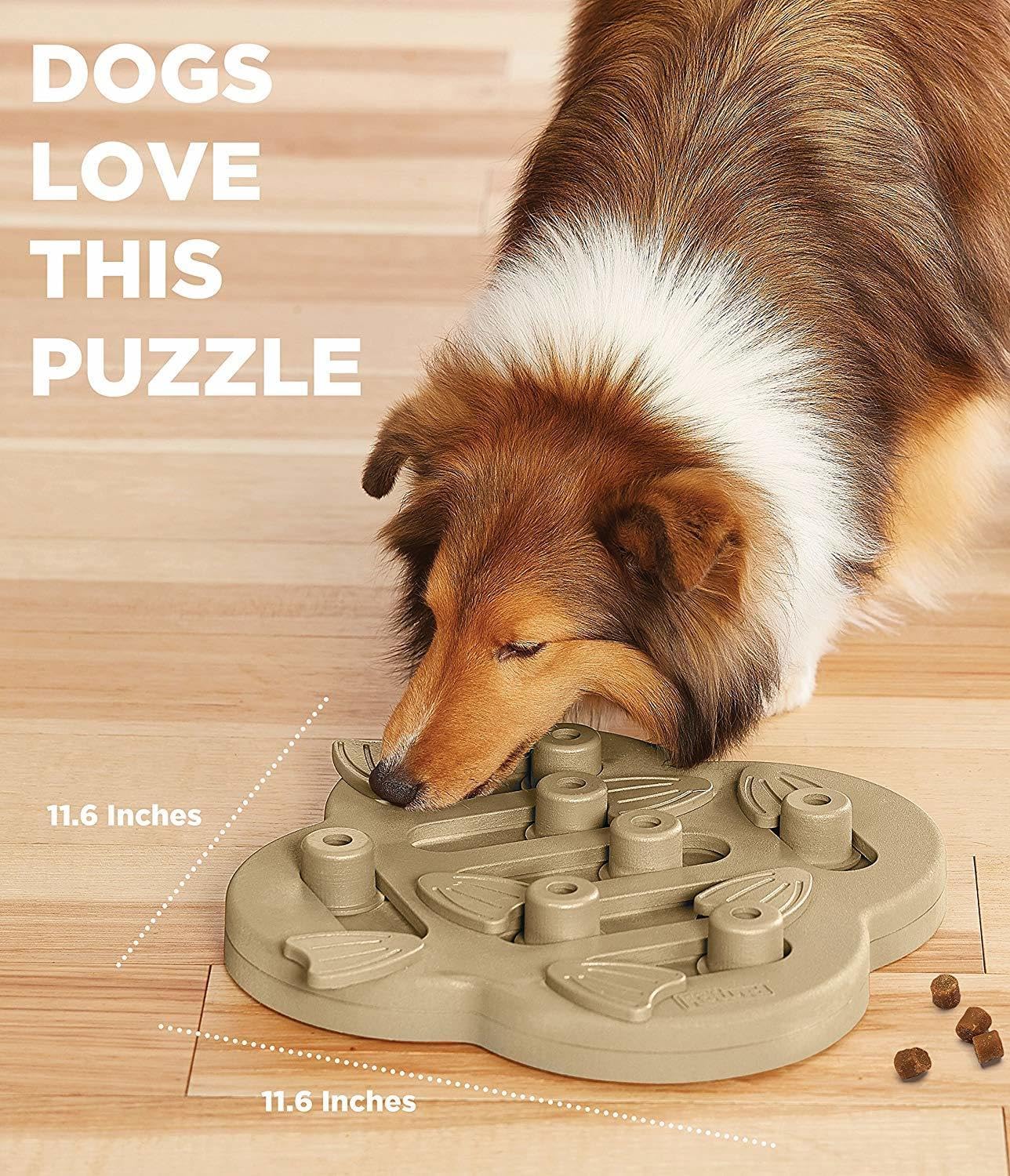 Outward Hound Puppy Hide N' Slide Interactive Treat Puzzle Dog Toy