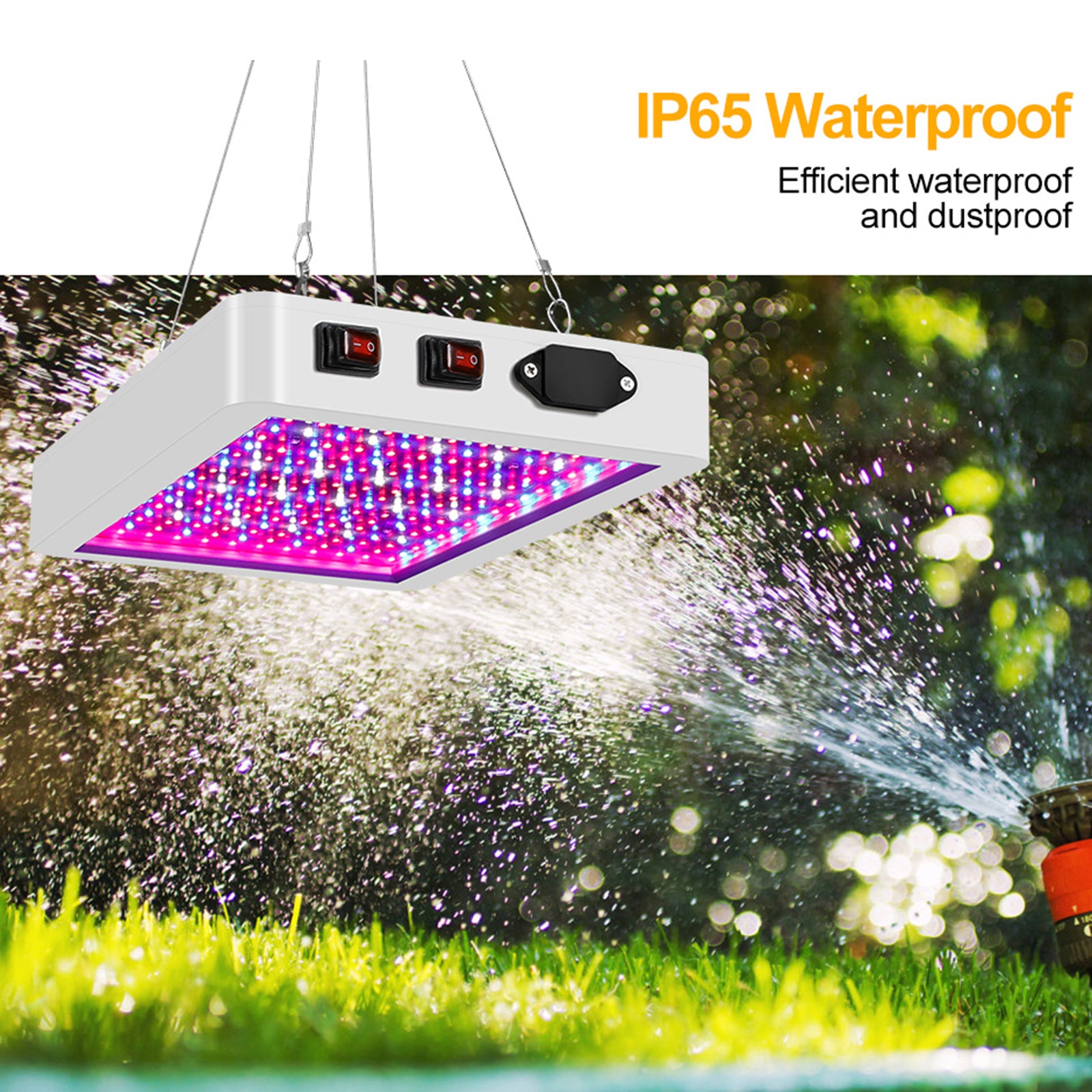 2000W Full Spectrum LED Grow Light for Plants