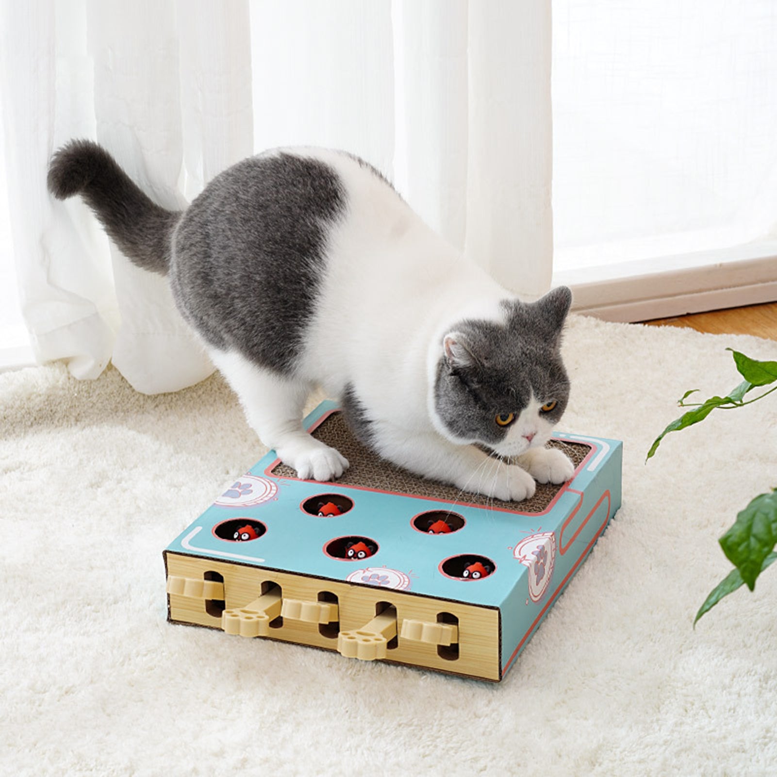 Cat Toys whack-a-mole