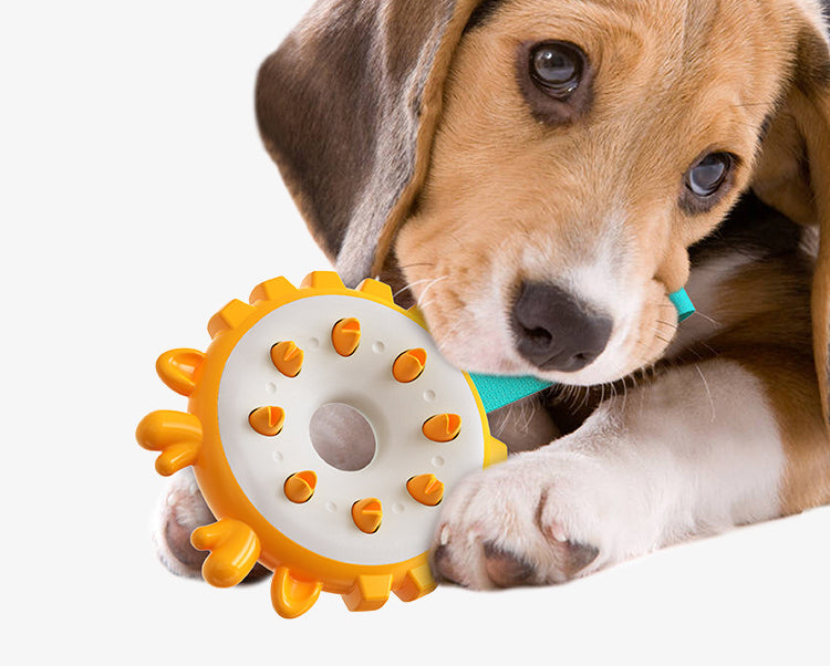 Dog Chew & Teeth Cleaning Toy