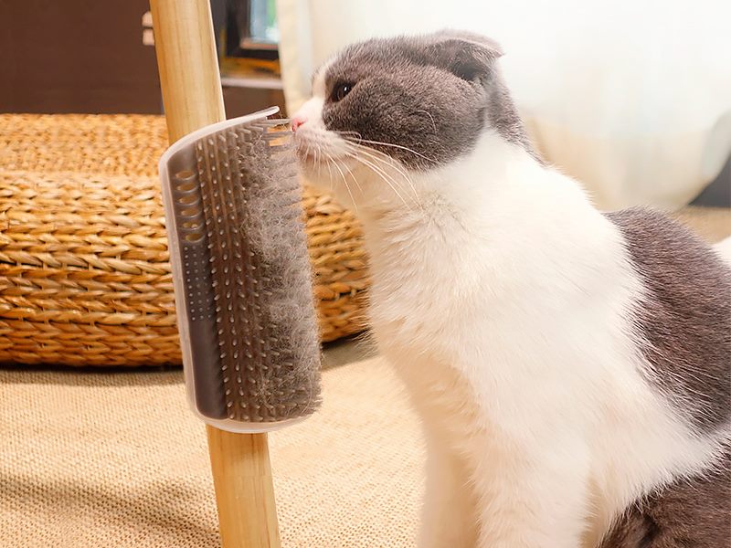 2Pcs Cat Corner Brush Comb Play Toy Scratch Self Grooming