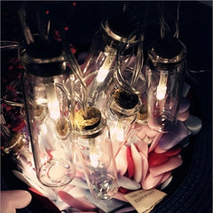 Solar String Lights Wishing Bottle Warm White