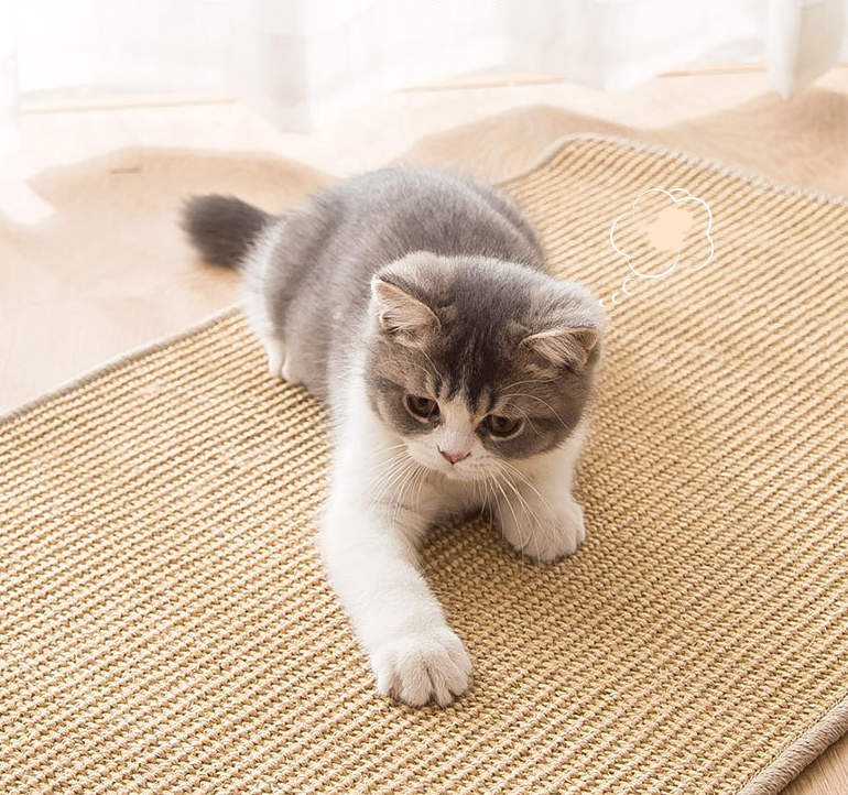 Anti Cat Scratch Guard Sofa Protector