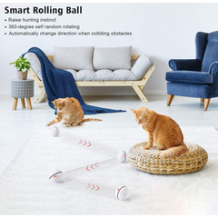 Cat Toys Rolling Ball