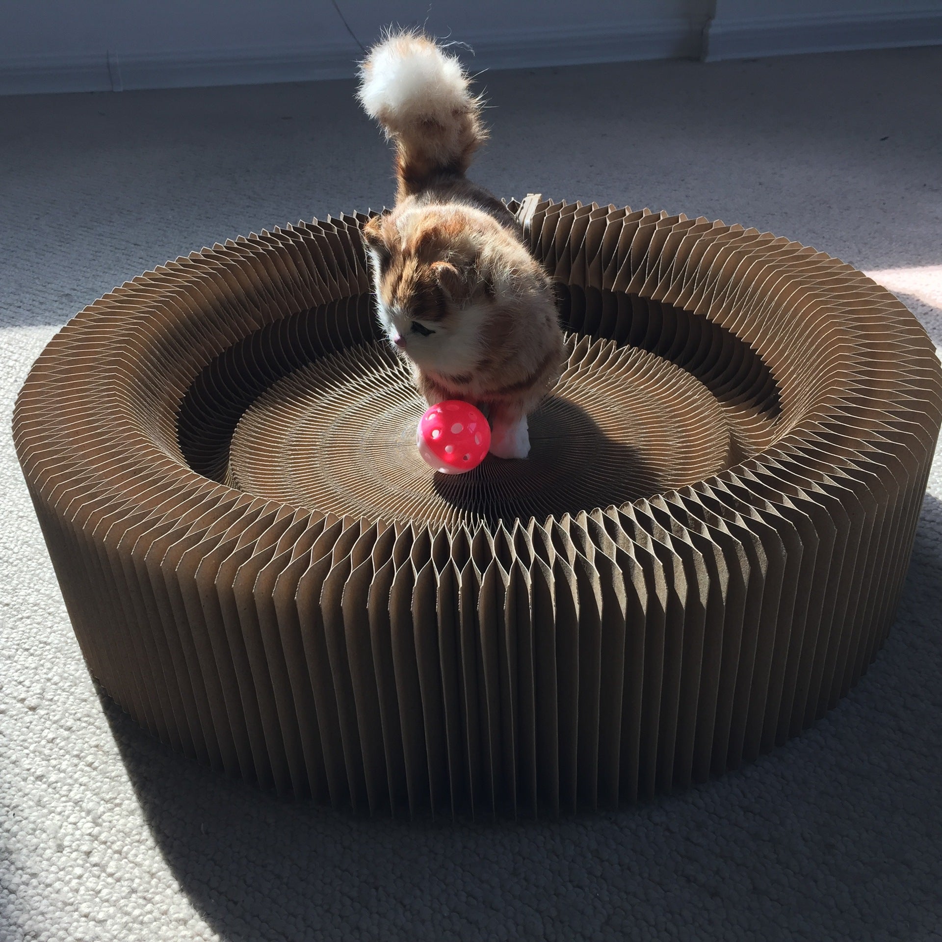 Collapsible Cat Scratcher Lounge Bed