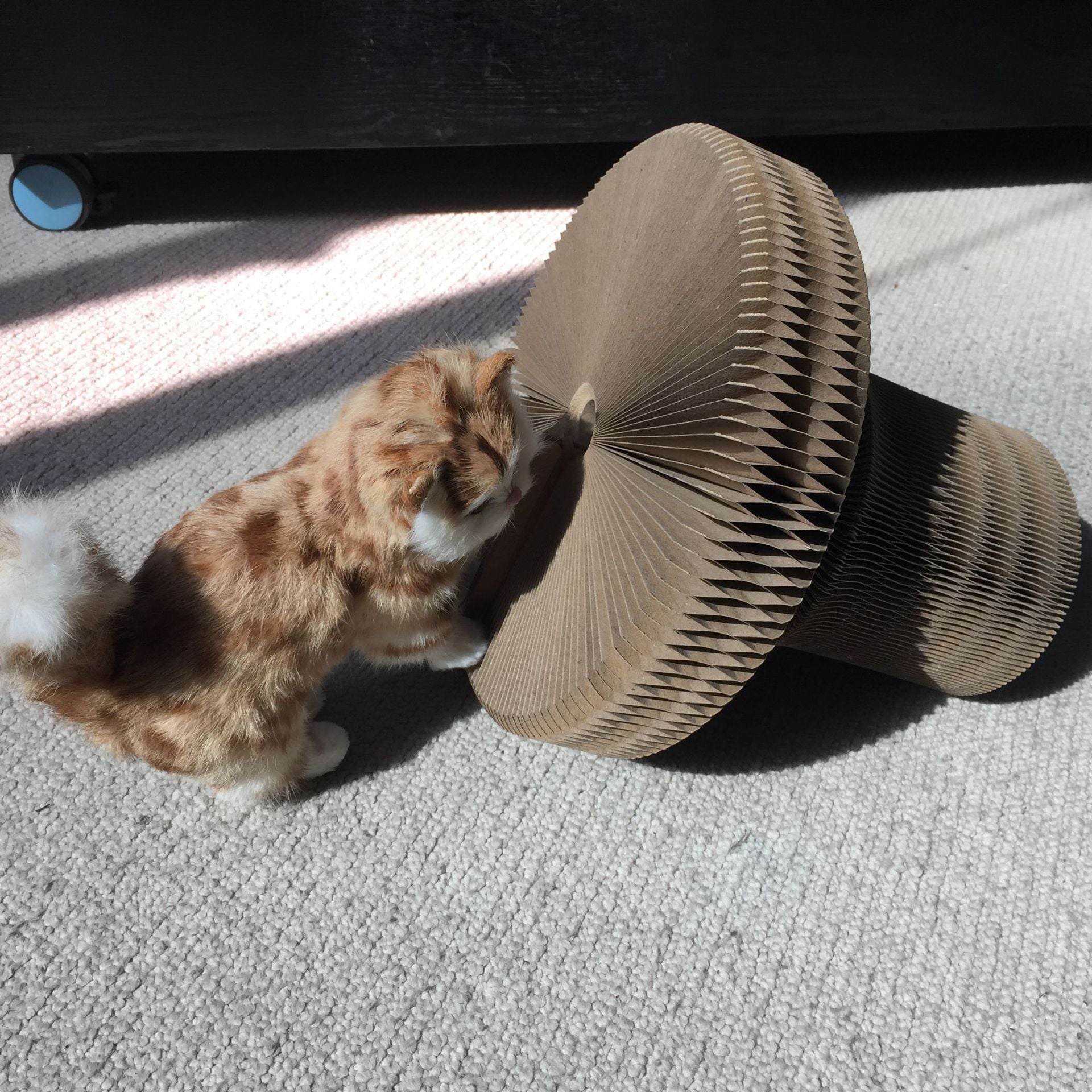 Collapsible Cat Scratcher Lounge Bed