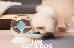 Pet Auto Water Feeder