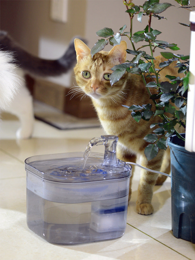 Automatic Pet Clear Cat Fountain