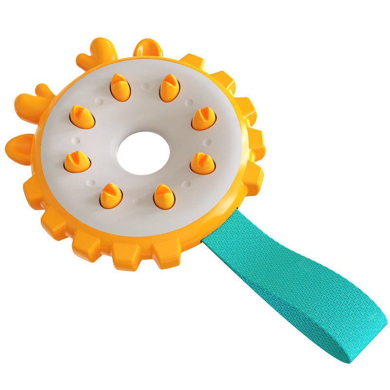 Dog Chew & Teeth Cleaning Toy