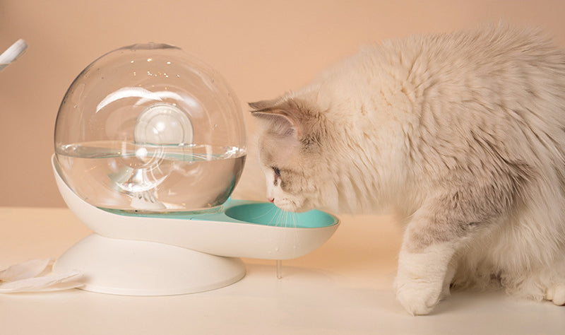 Pet Auto Water Feeder