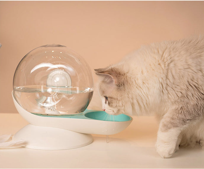 Pet Auto Water Feeder