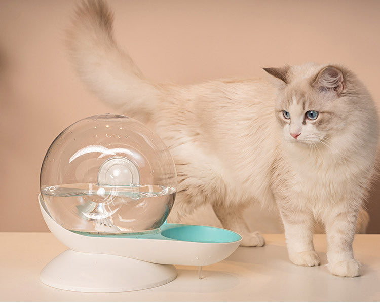 Pet Auto Water Feeder