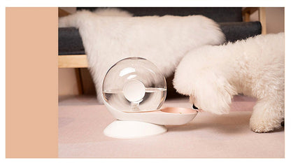 Pet Auto Water Feeder