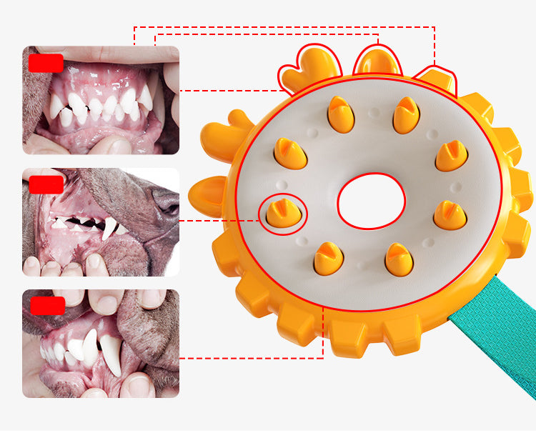 Dog Chew & Teeth Cleaning Toy