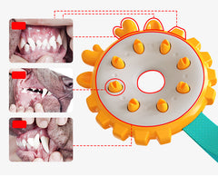 Dog Chew & Teeth Cleaning Toy