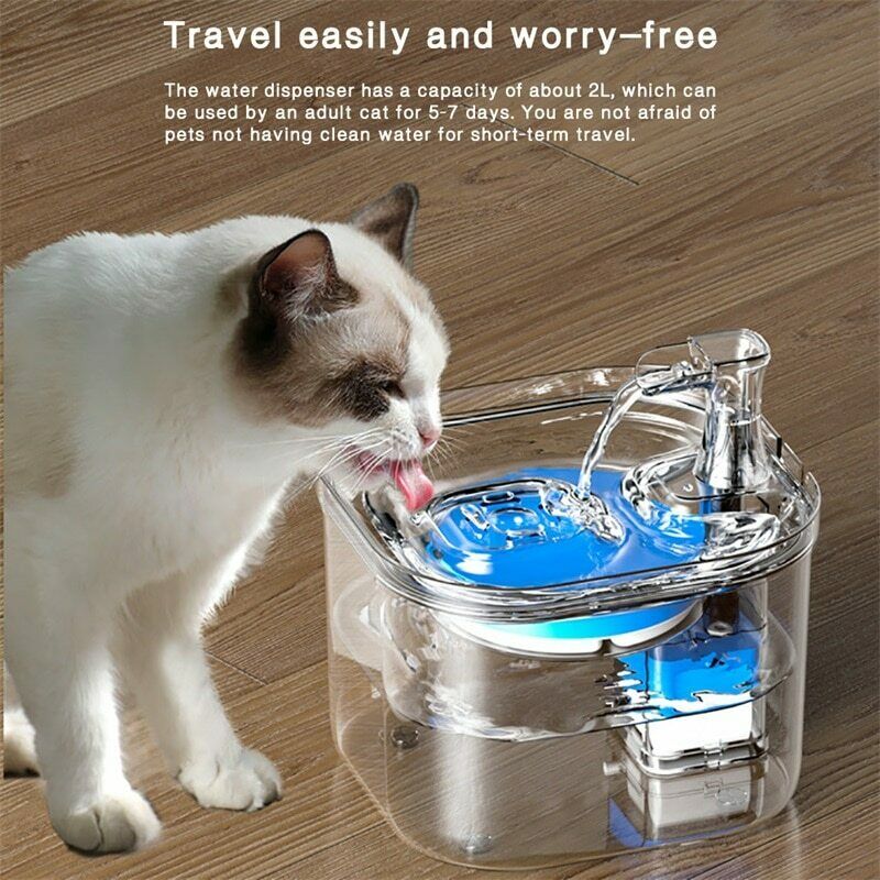 Automatic Pet Clear Cat Fountain