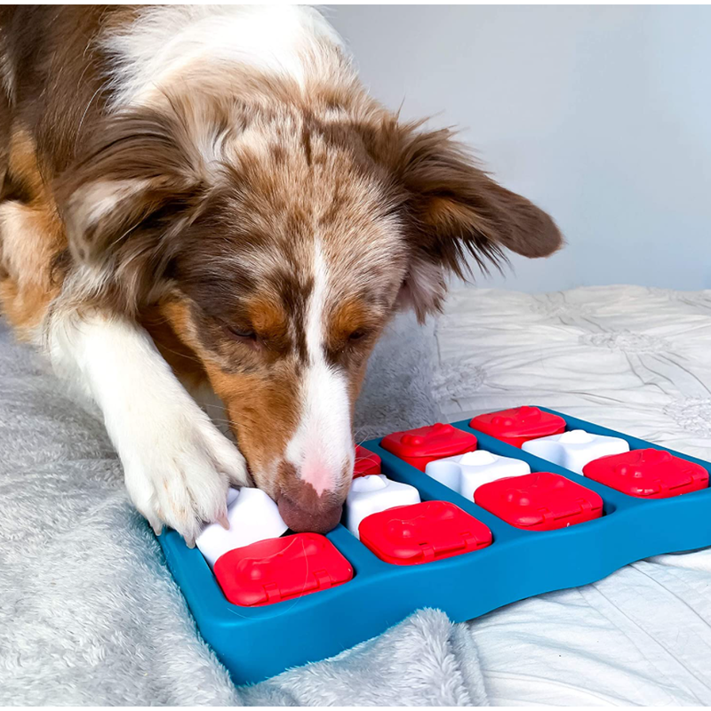 Nina Ottosson by Outward Hound Dog Brick Interactive Treat Puzzle Dog Toy