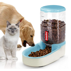 Automatic Pet Food Feeding Blue