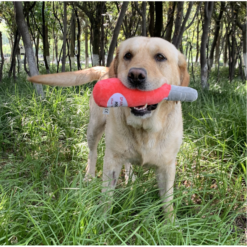 Unique Squeaky Plush Dog Toys