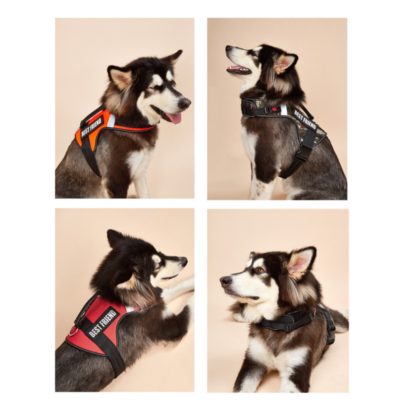 Pet Dog Safety Running Belt Harness