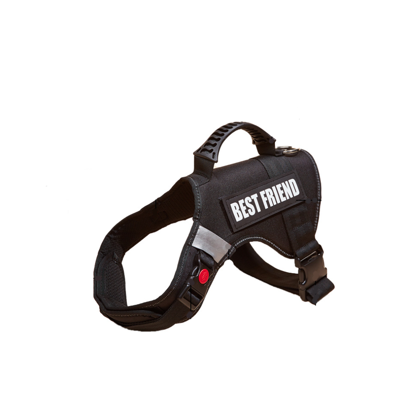 Pet Dog Safety Running Belt Harness