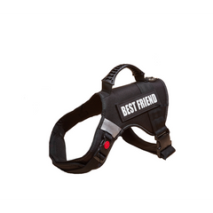 Pet Safety Running Belt Harness