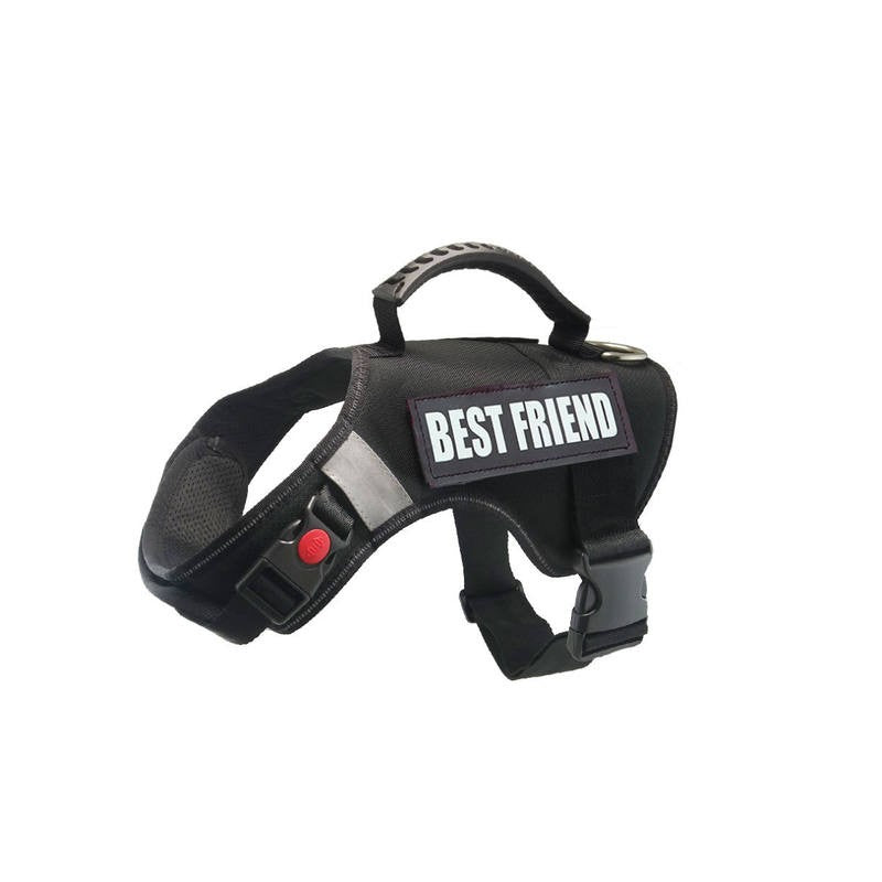 Pet Safety Running Belt Harness