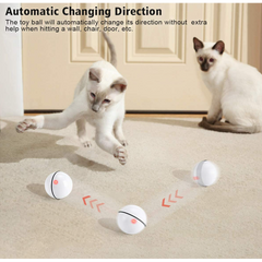 Cat Toys Rolling Ball