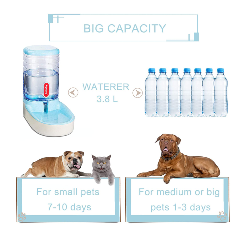 Automatic Pet Water Feeding Blue